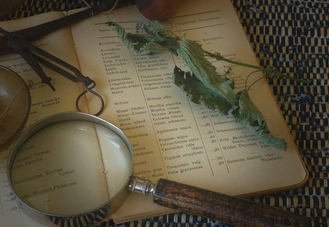 La naturopathie comme médecine alternative : faits et bienfaits